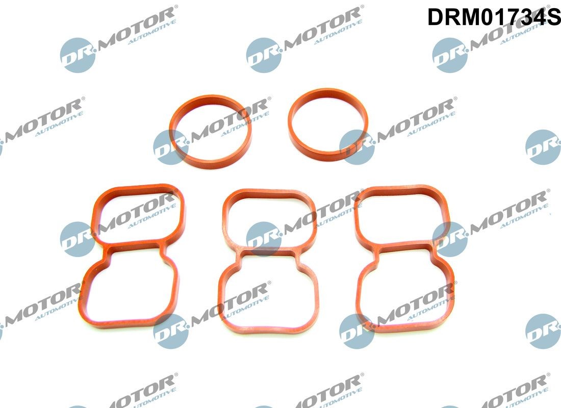 DR.MOTOR AUTOMOTIVE Gasket, cylinder head Article number: DRM01734S cheaply