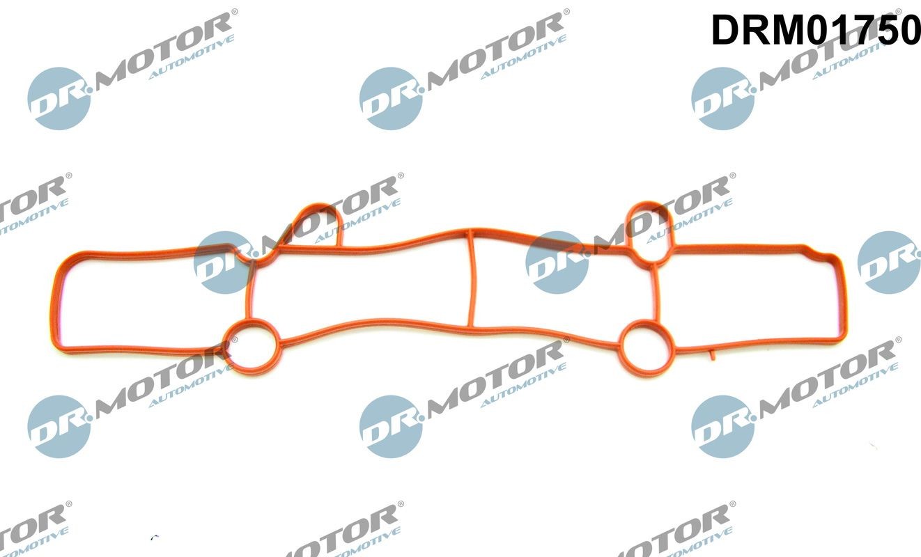 DR.MOTOR AUTOMOTIVE Inlet manifold gasket Article number: DRM01750 cheaply