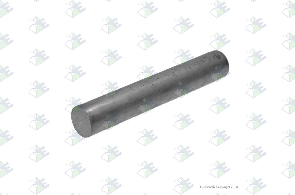 Euroricambi Universal Joint, differential pinion gear Article number: 30170479 cheaply