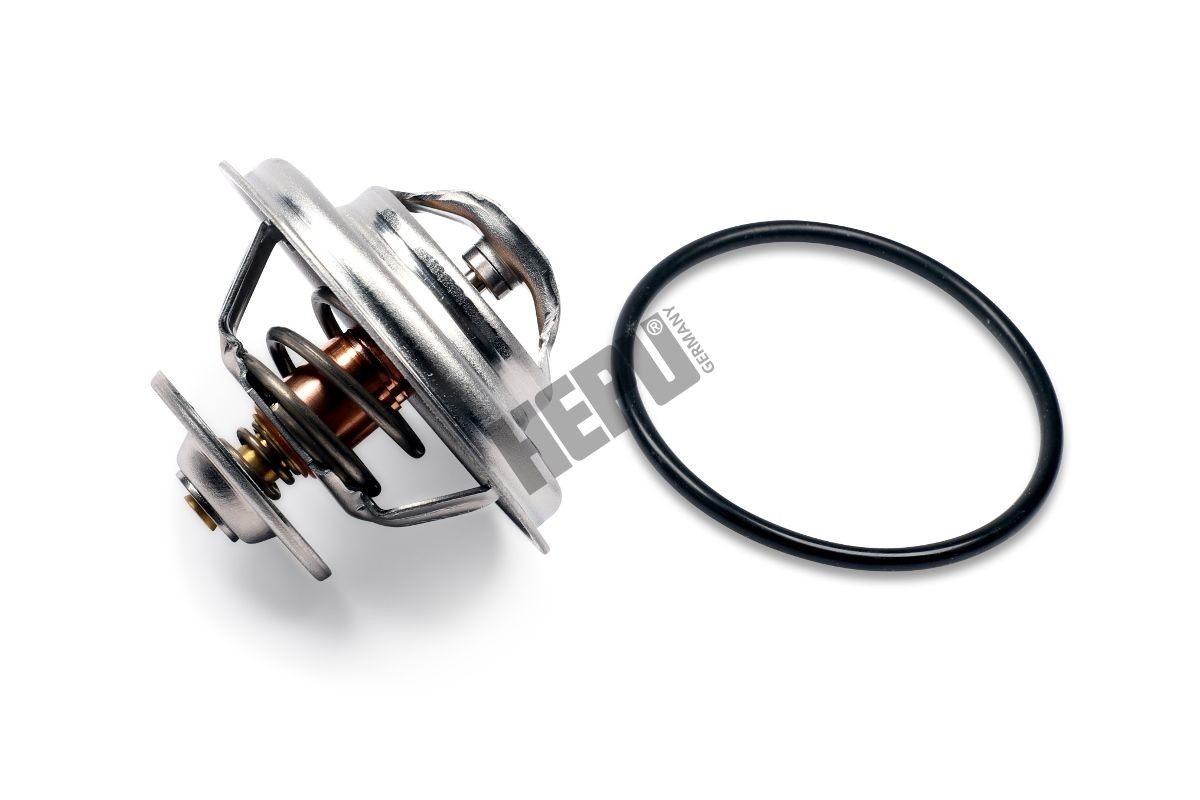 HEPU Thermostat Article number: TM1298 cheaply