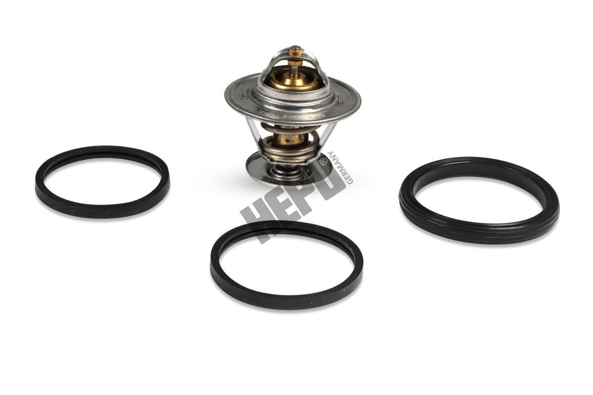 HEPU Thermostat Article number: TM1309 cheaply