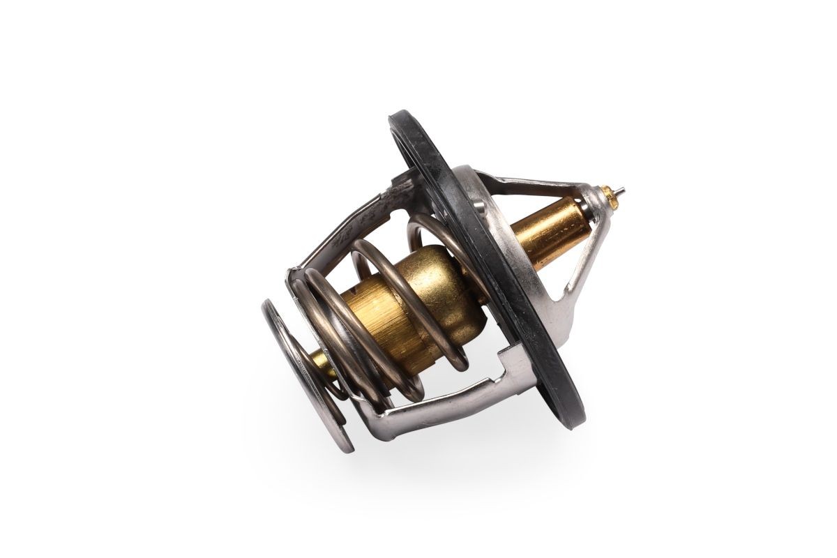 HEPU Thermostat Article number: TM1318 cheaply