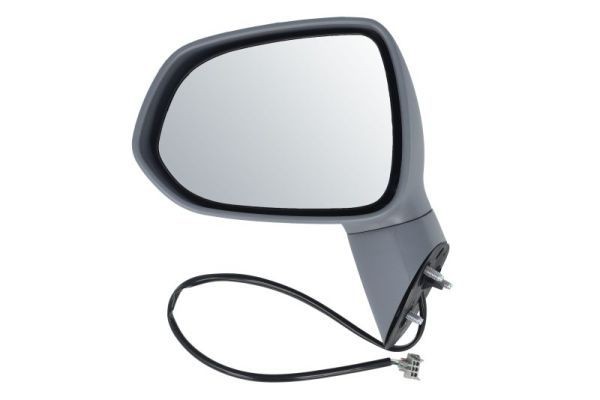 BLIC Wing mirror Article number: 5402-04-1121922P cheaply