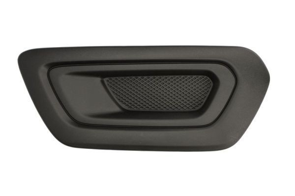BLIC Bumper grill Article number: 6502-07-2517991P cheaply