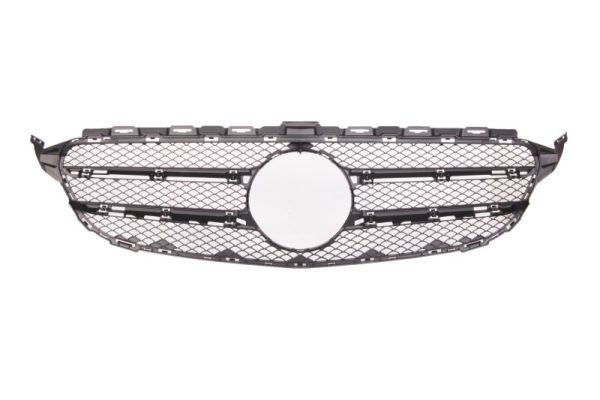 BLIC Radiator Grille Article number: 6502-07-3521990P cheaply