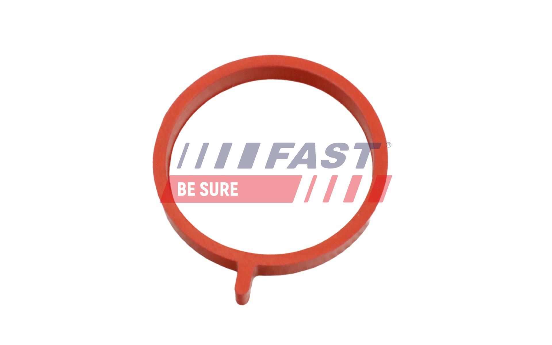 FAST Inlet manifold gasket Article number: FT49459 cheaply