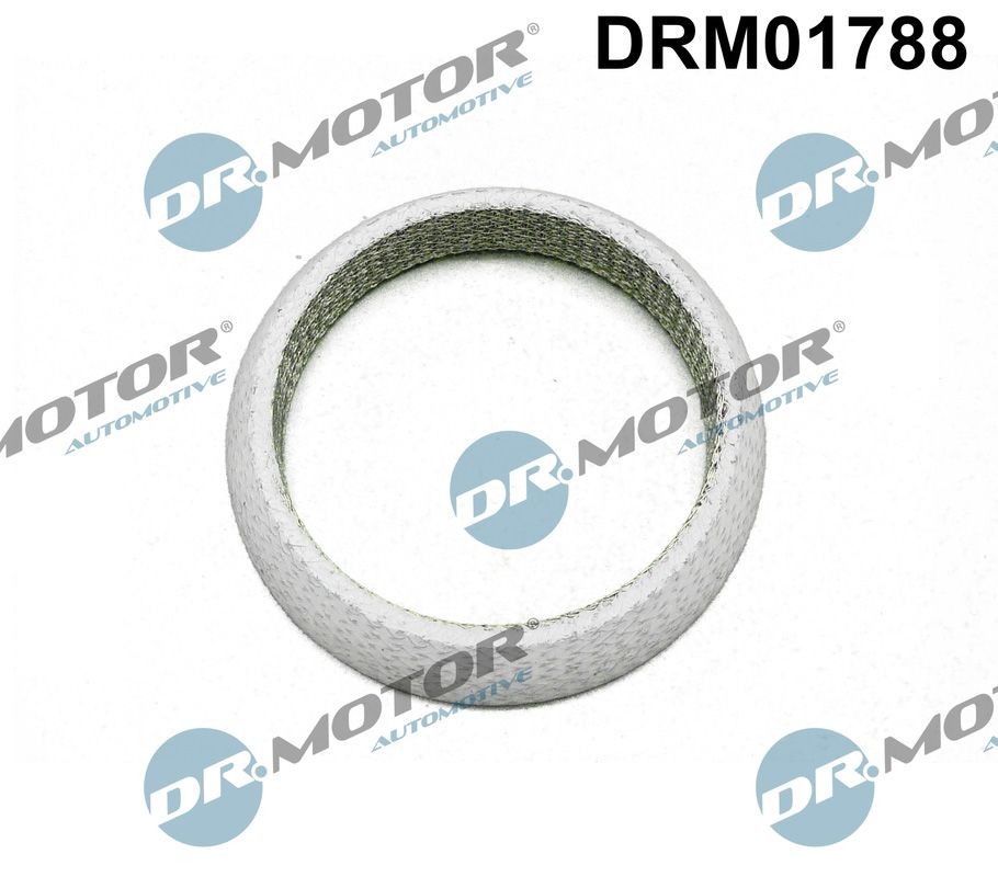 DR.MOTOR AUTOMOTIVE Exhaust pipe gasket Article number: DRM01788 cheaply