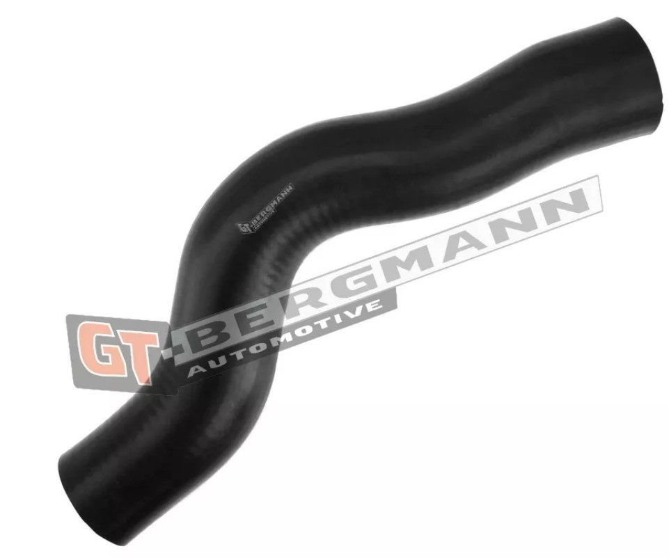 GT-BERGMANN Charger intake hose Article number: GT52-307 cheaply