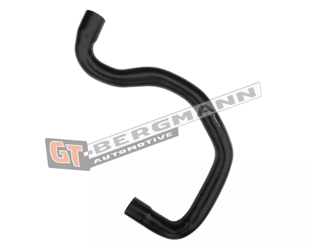 GT-BERGMANN Charger intake hose Article number: GT52-351 cheaply