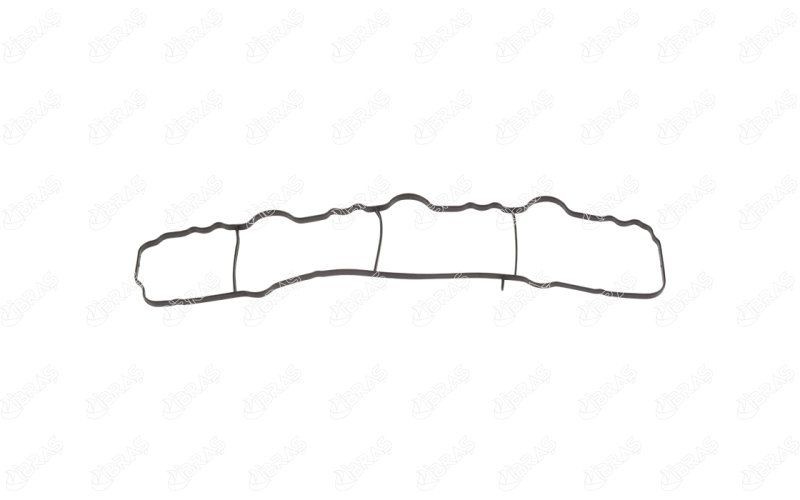 IBRAS Inlet manifold gasket Article number: 33489 cheaply