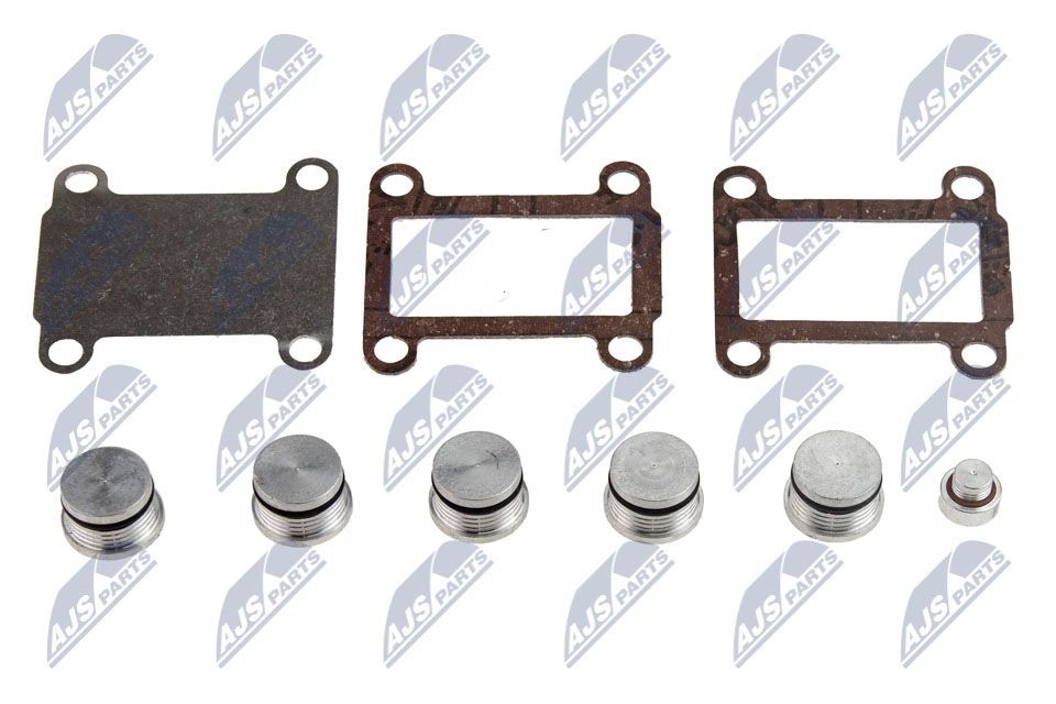 NTY BKS-FT-007 Repair Kit, intake manifold module THESIS 2.4 JTD (841.AXE1B0, 841.AXH110) 175 PS Diesel 2009