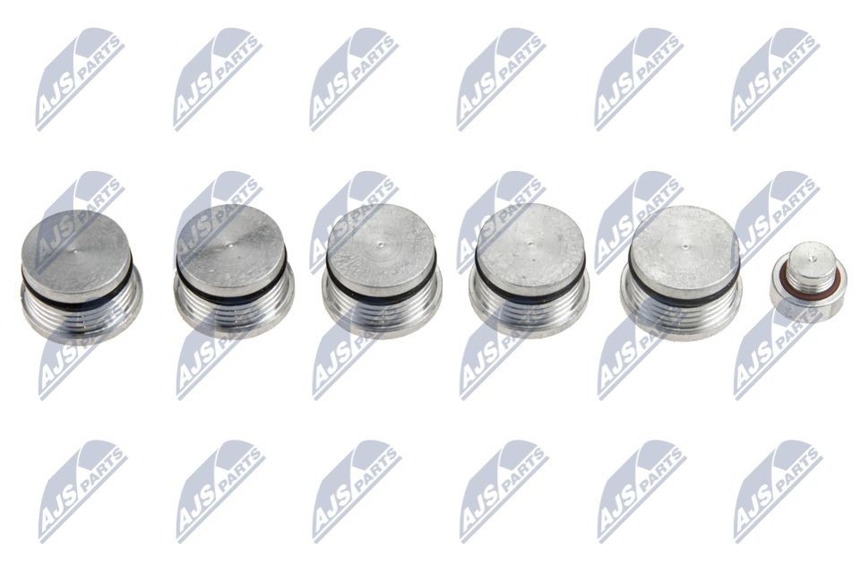 NTY BKS-FT-008 Repair Kit, intake manifold module THESIS 2.4 JTD (841.AXE1B0, 841.AXH110) 175 PS Diesel 2009