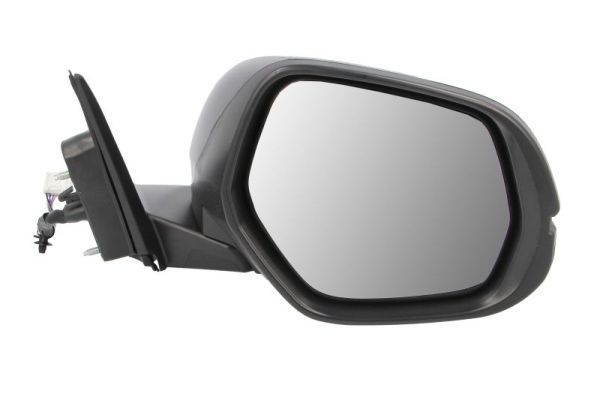 BLIC Wing mirror Article number: 5402-12-0493311P cheaply