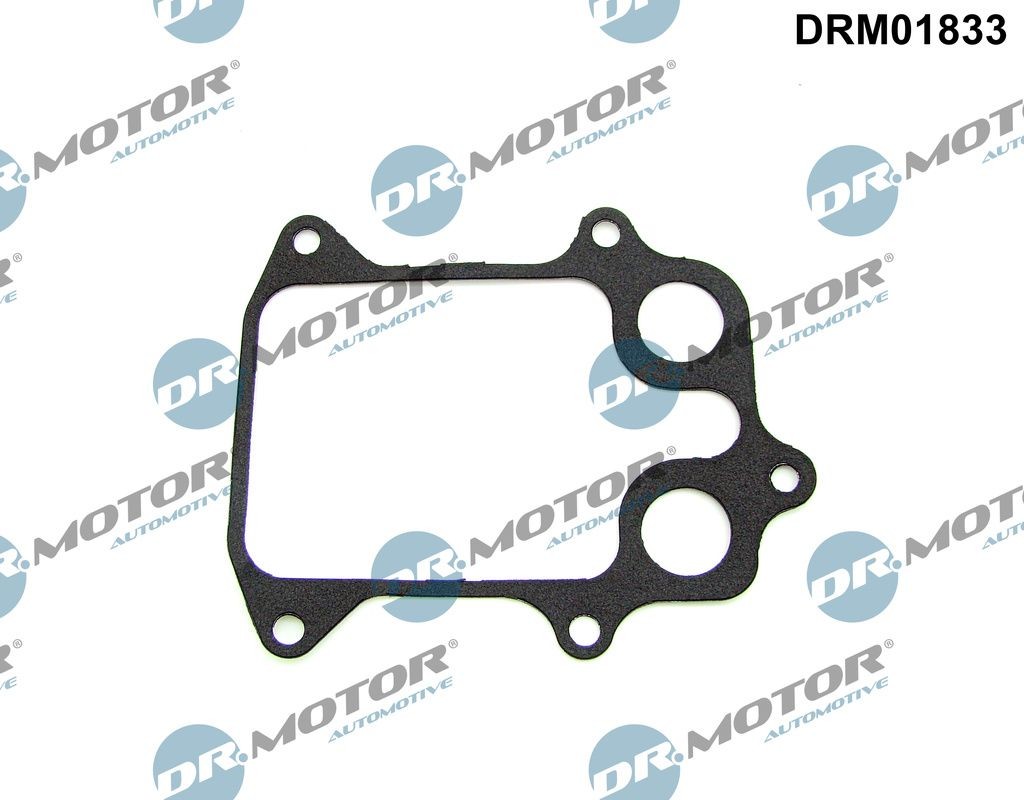 DR.MOTOR AUTOMOTIVE Oil cooler gasket Article number: DRM01833 cheaply