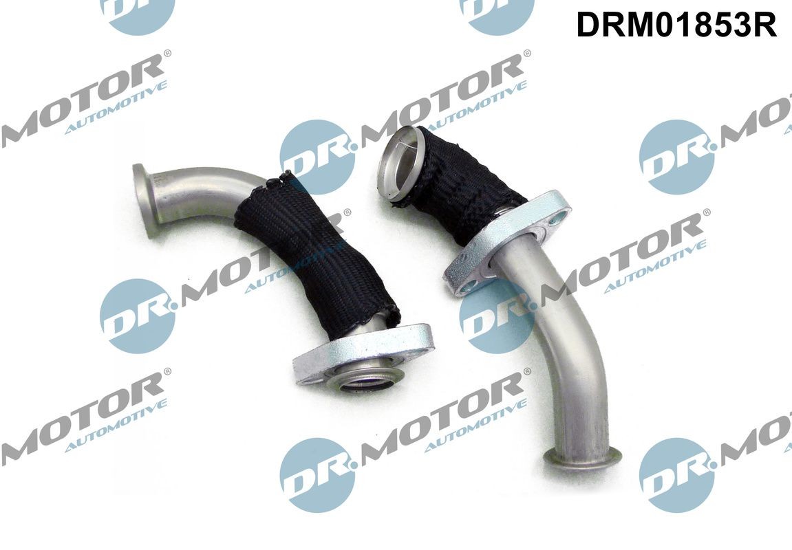 DR.MOTOR AUTOMOTIVE Seal, EGR cooler Article number: DRM01853R cheaply