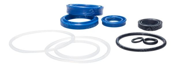 SW-Stahl Seal Ring Kit Article number: 20306L-3 cheaply