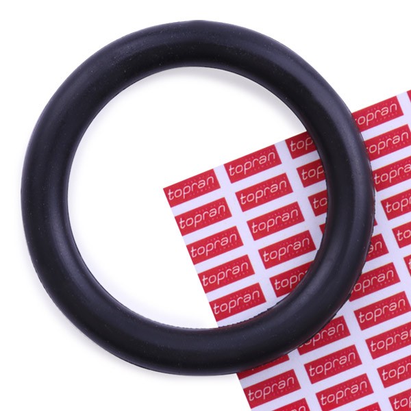 CORTECO Inlet manifold gasket Article number: 026236H cheaply