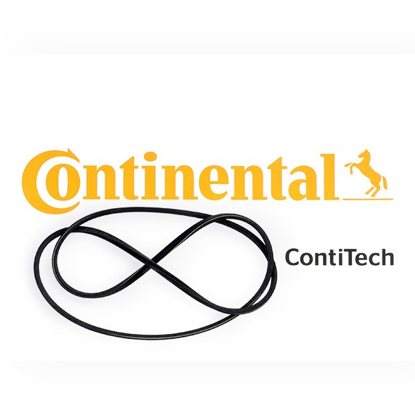 CONTITECH Serpentine belt Article number: 2PJ800 cheaply