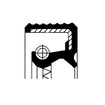 CORTECO Shaft Seal, differential Article number: 12015771B cheaply