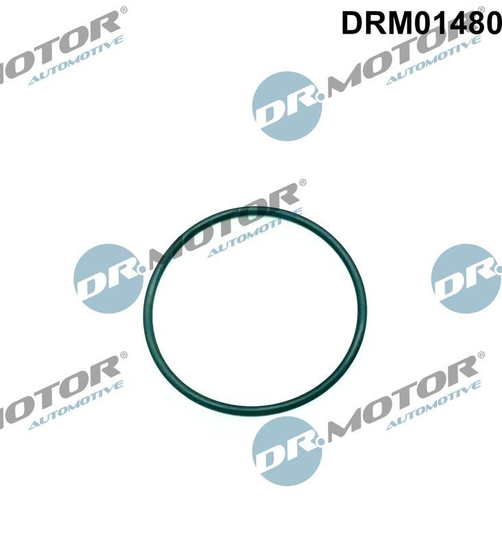 DR.MOTOR AUTOMOTIVE Seal, injection pump Article number: DRM01480 cheaply