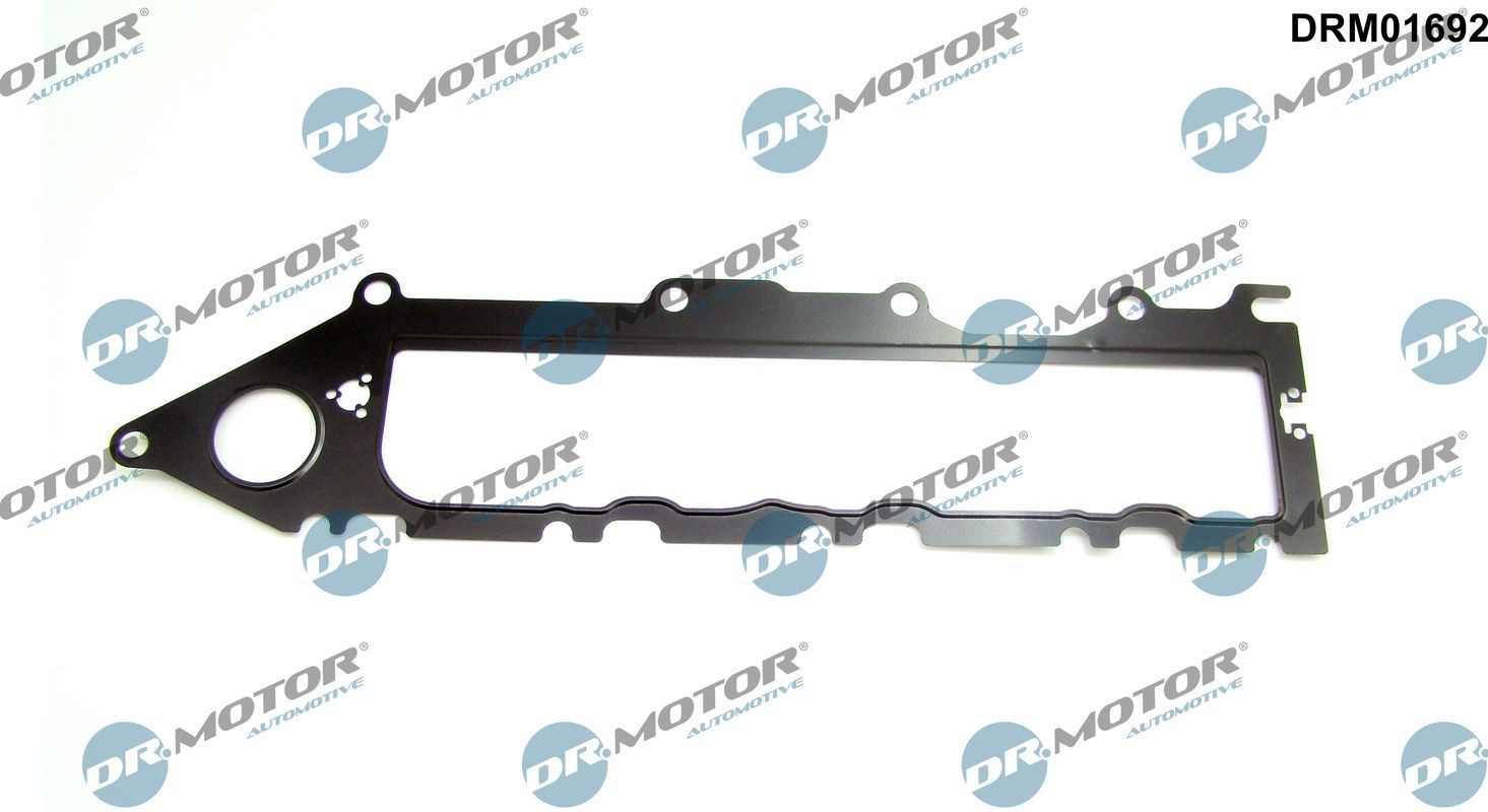 DR.MOTOR AUTOMOTIVE Inlet manifold gasket Article number: DRM01692 cheaply