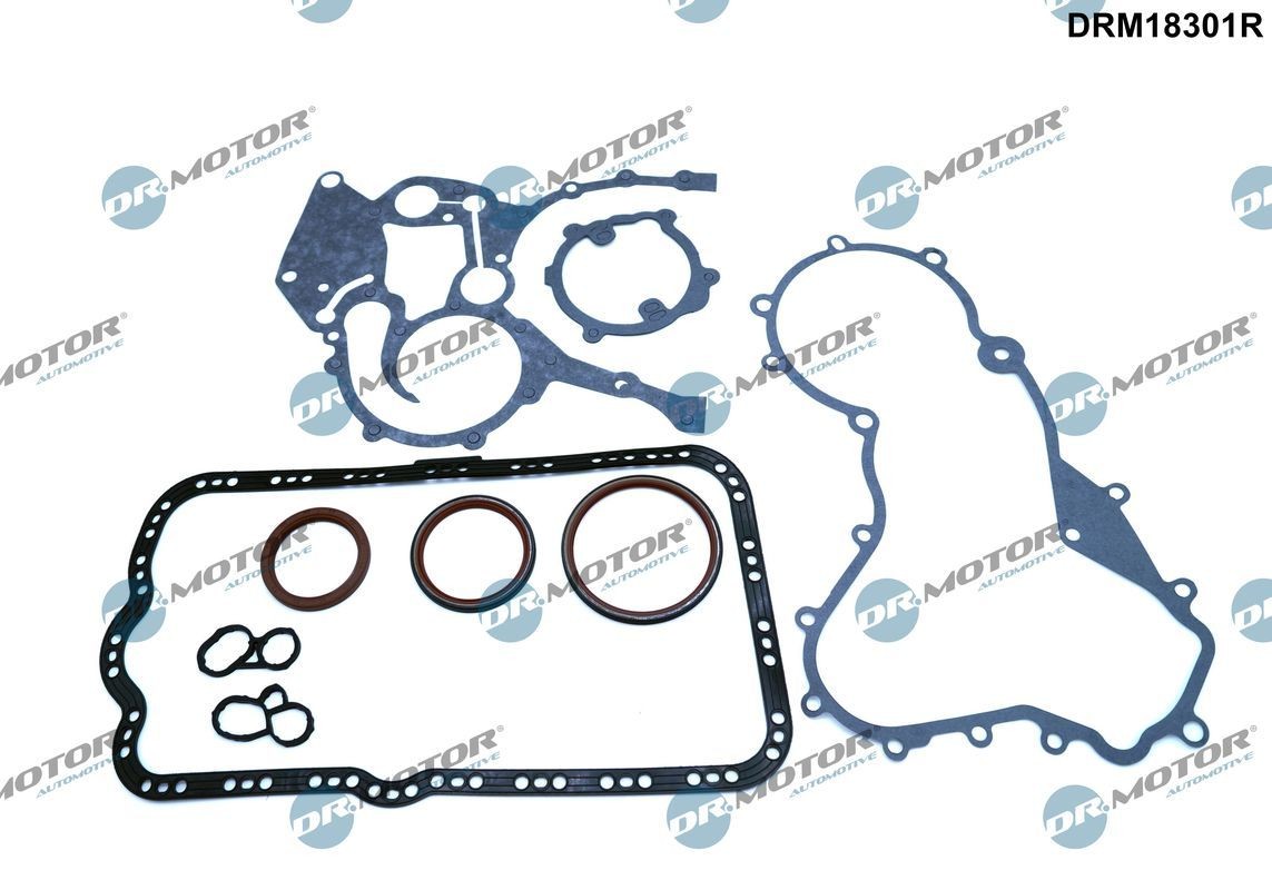 DR.MOTOR AUTOMOTIVE Crankcase gasket set Article number: DRM18301R cheaply