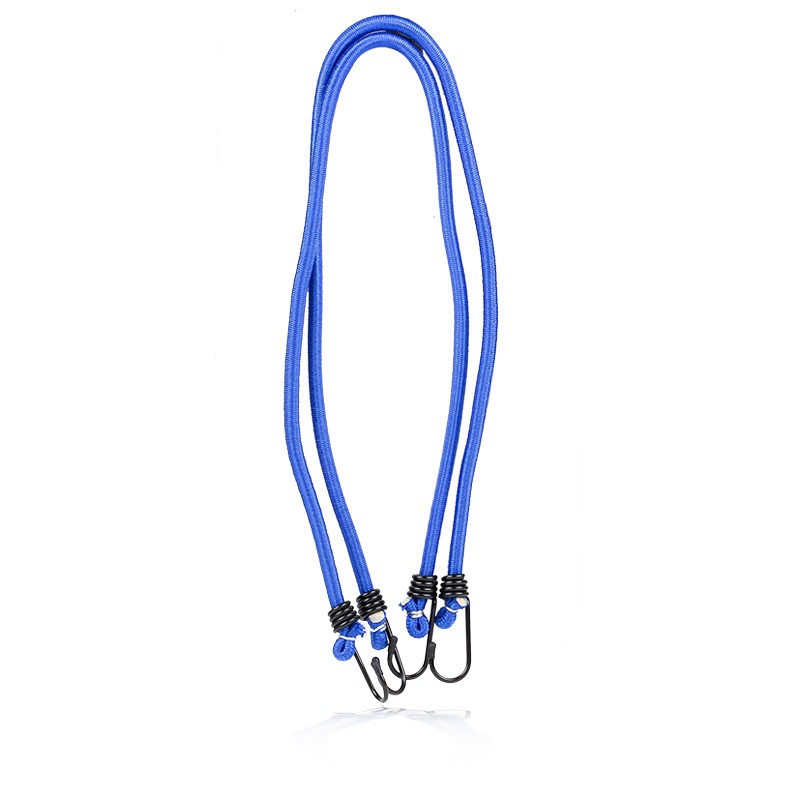 ALCA 882080 Strap, cargo space cover SCÉNIC 2.0 16V (JA1D, JA17) 140 PS Petrol 2003