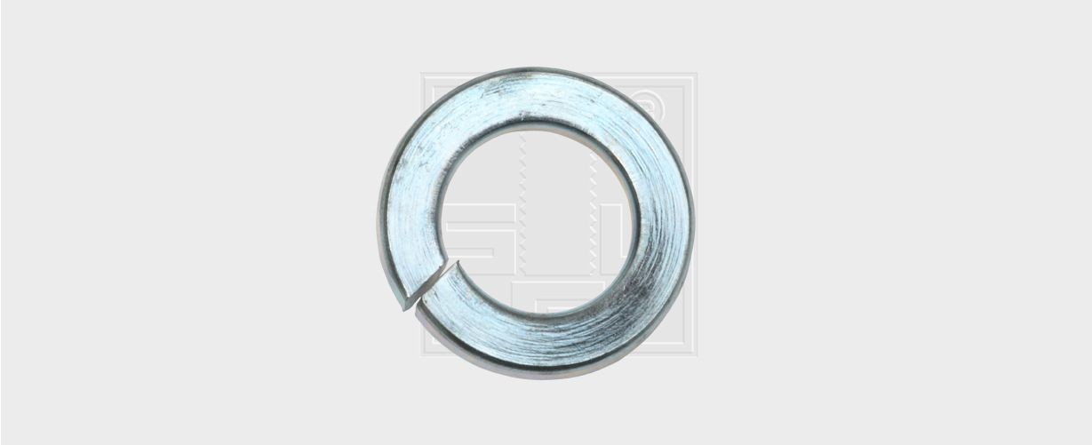 SWGAutomotive Springwasher Article number: 44110030 cheaply