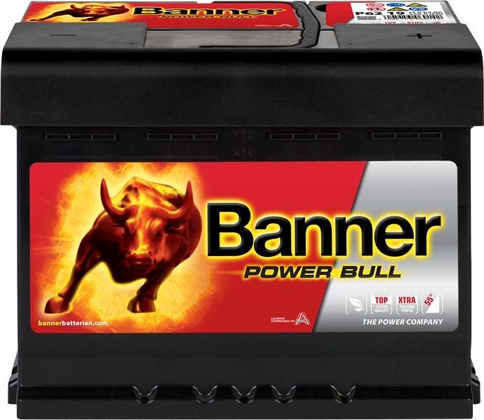 BANNER Battery Article number: 013562190101 cheaply