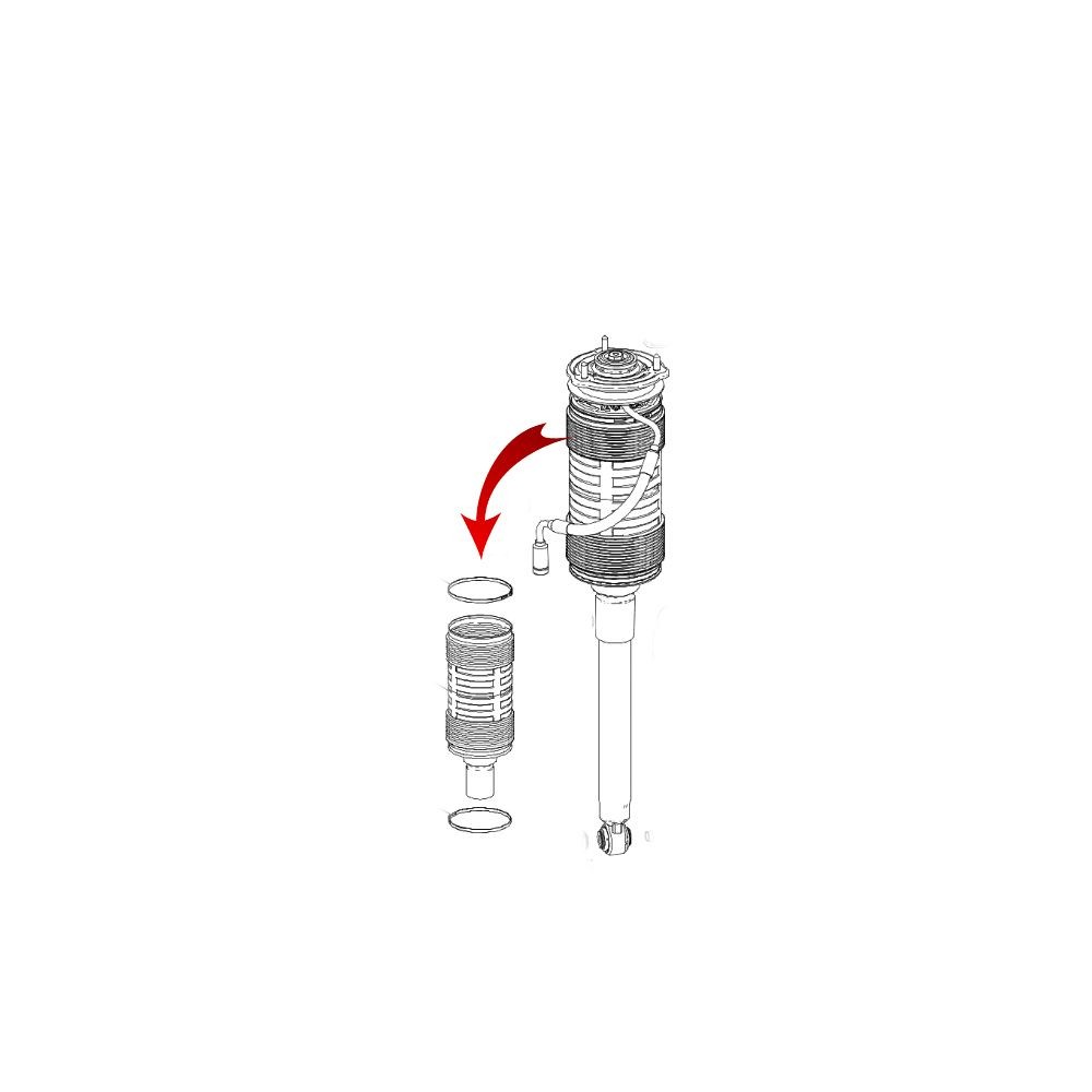 MiesslerAutomotive Dust cover kit, shock absorber Article number: 31171-01-0037 cheaply