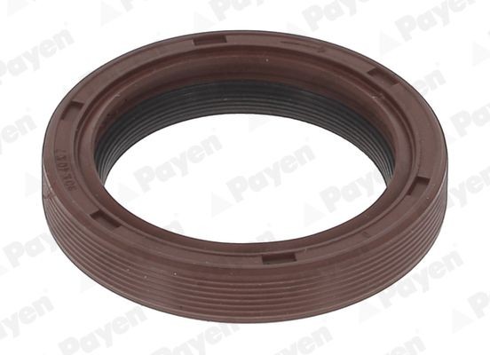 PAYEN Crankshaft seal Article number: NA5499 cheaply