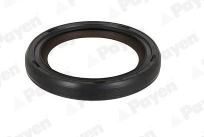 PAYEN Crankshaft seal Article number: NA5501 cheaply