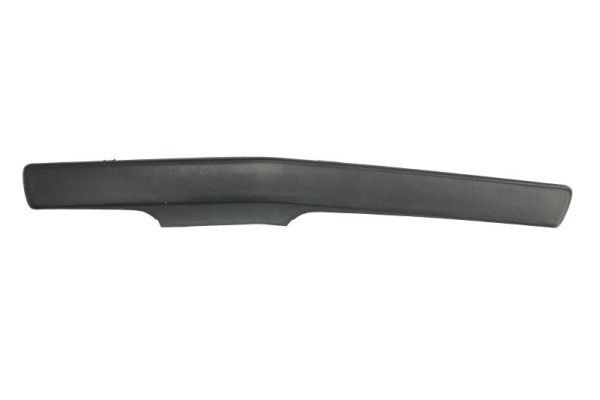 PACOL Cover, external mirror holder Article number: RVI-MR-020R cheaply