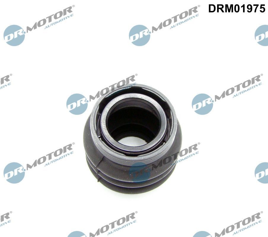 DR.MOTOR AUTOMOTIVE Sealed Ring, gearshift linkage Article number: DRM01975 cheaply