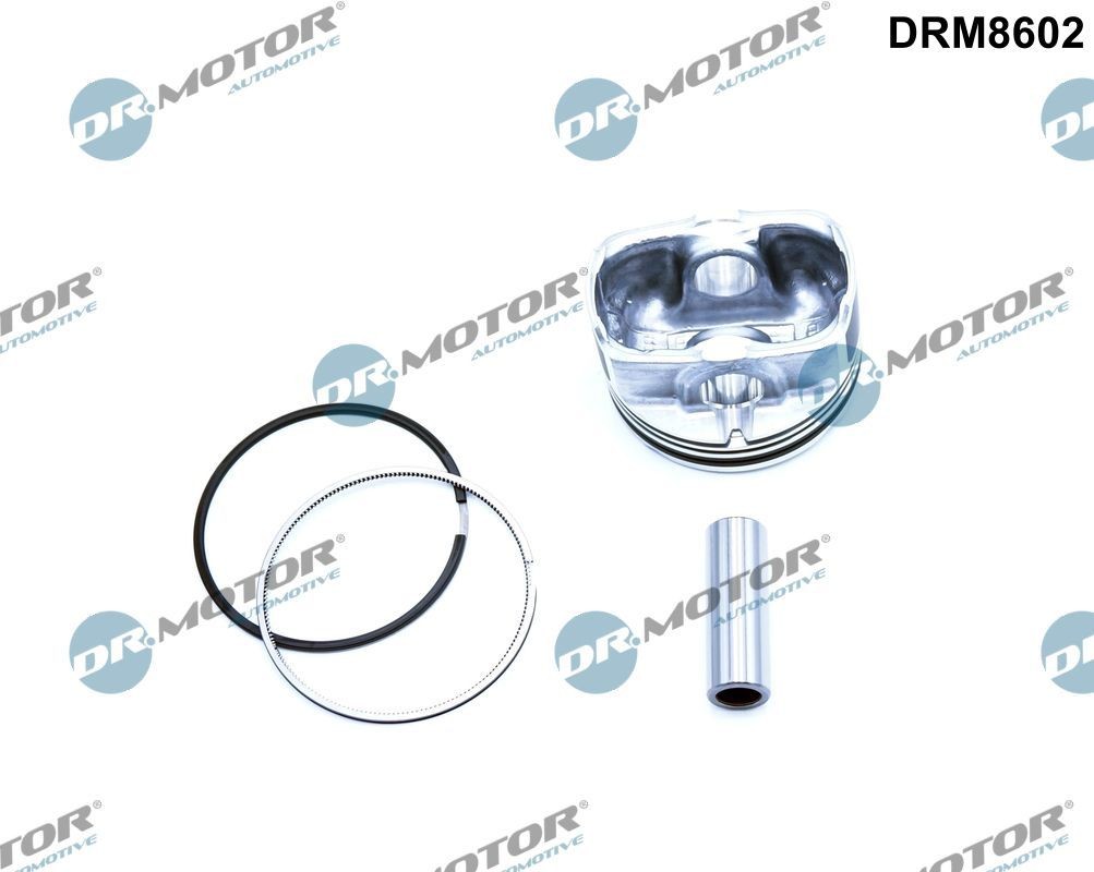 DR.MOTOR AUTOMOTIVE Stempel Varenummer: DRM8602 billige