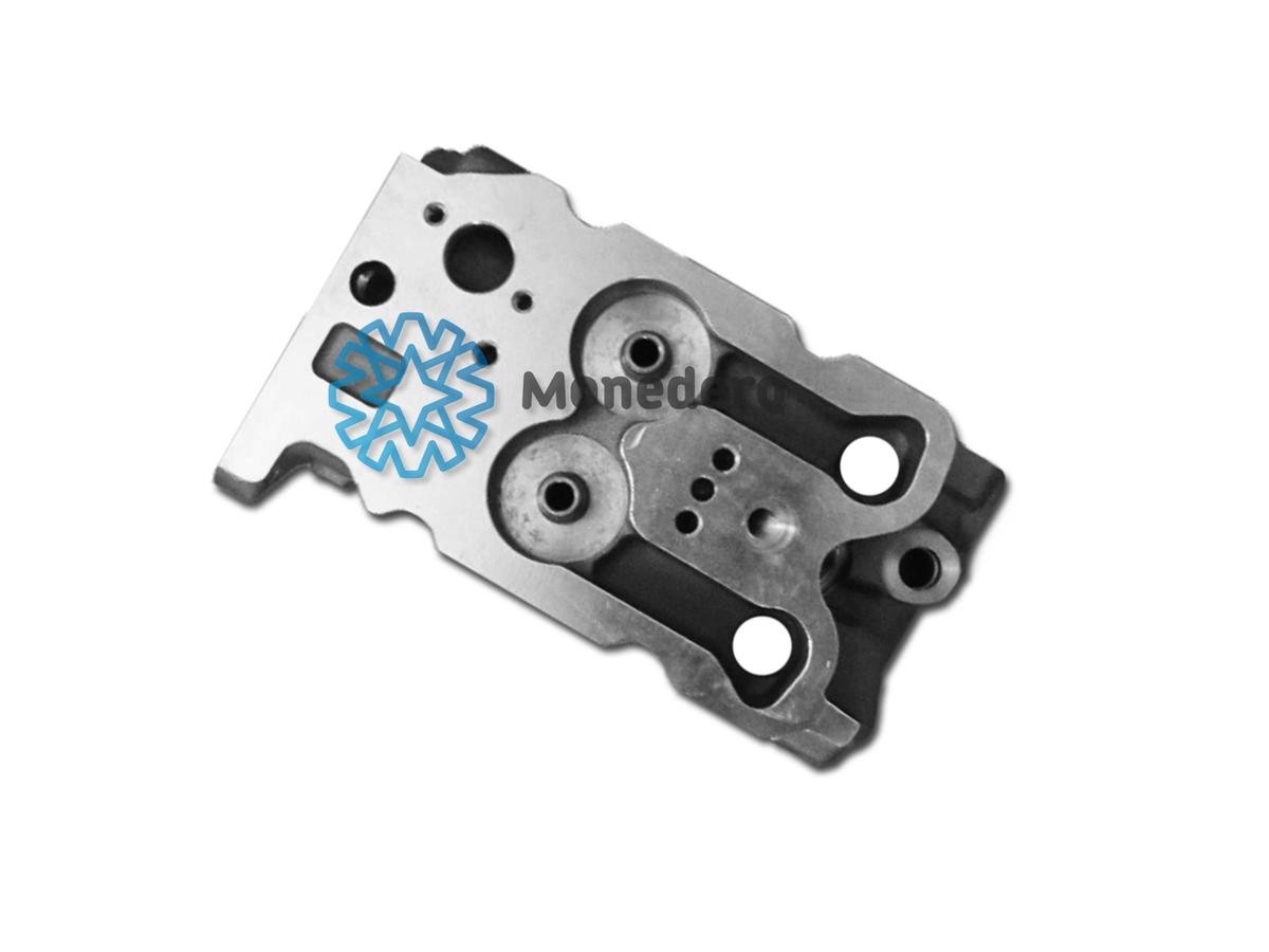 MONEDERO Cylinder Head Article number: 81012000006 cheaply