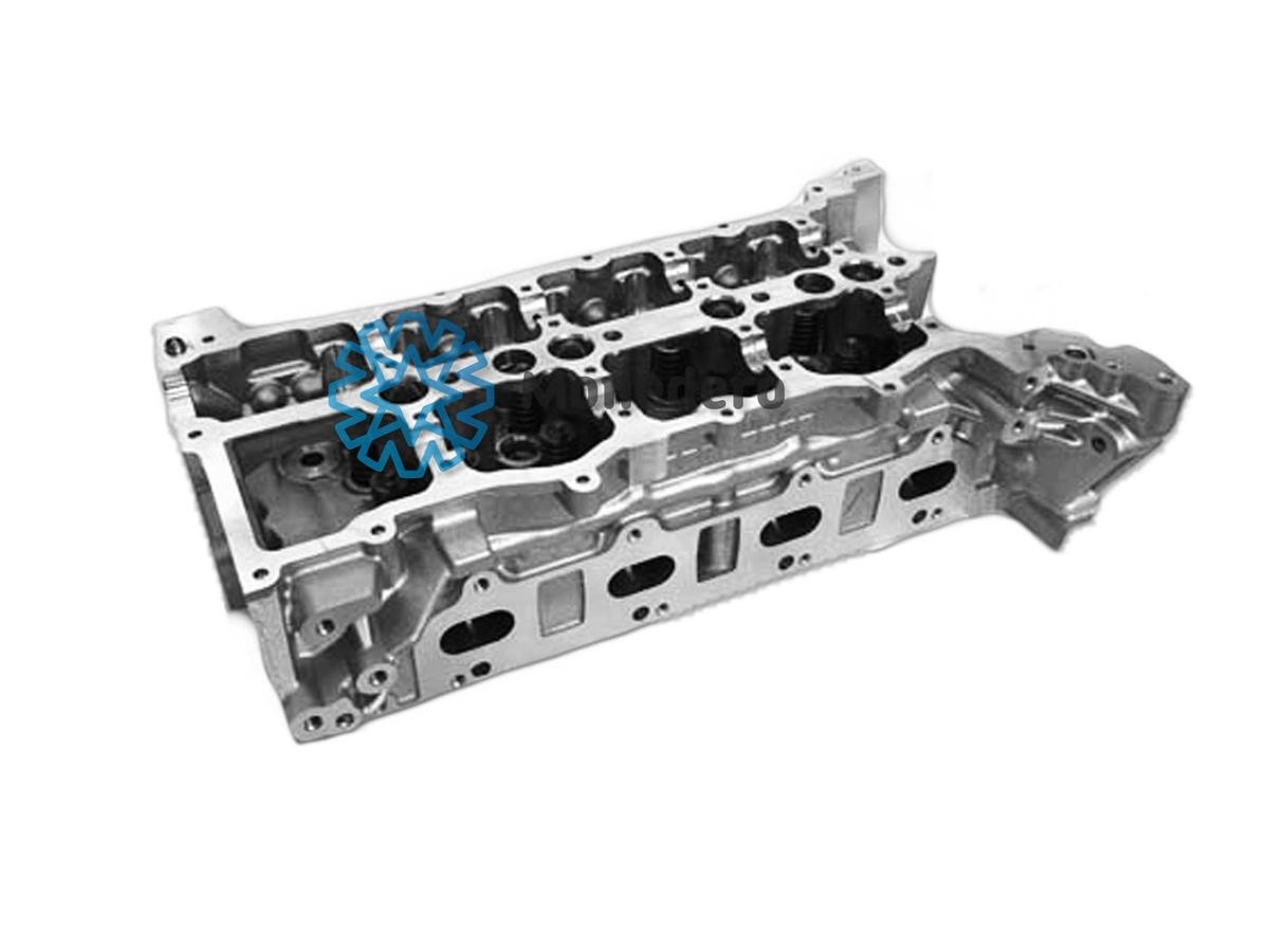 MONEDERO Cylinder Head Article number: 83012000011 cheaply