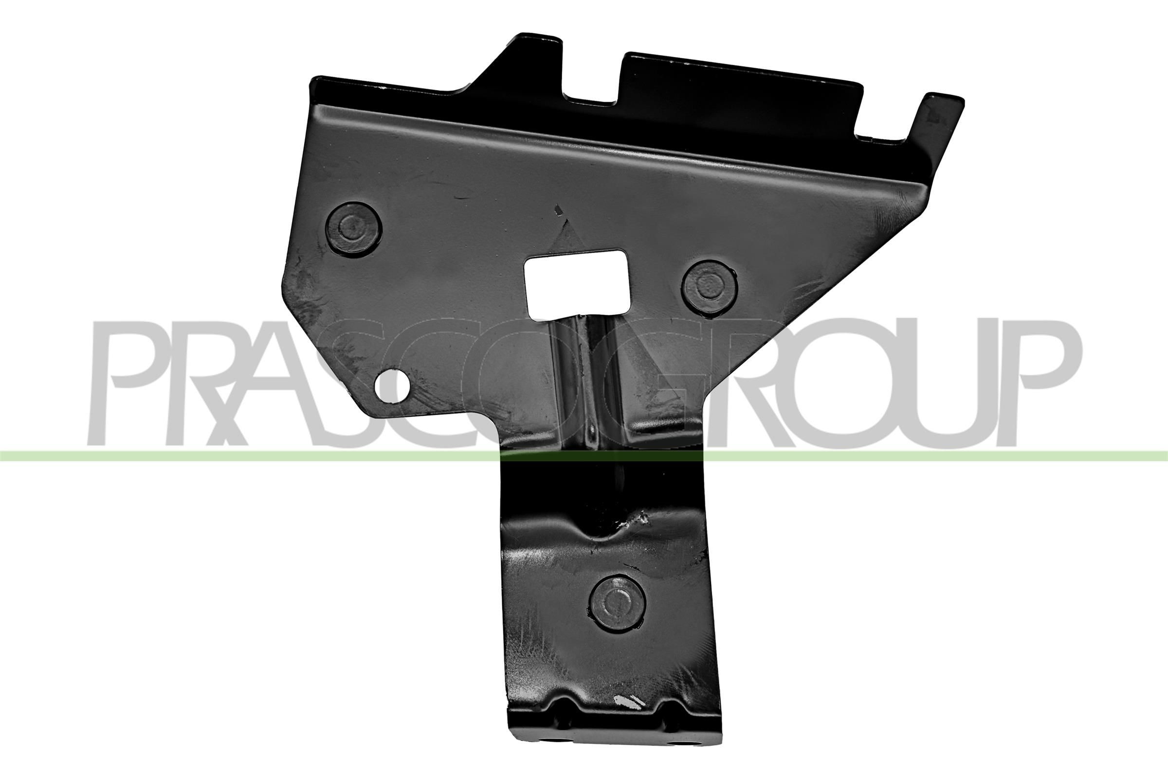 PRASCO Holder, mudguard Article number: PG9083017 cheaply
