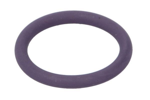 THERMOTEC Seal, coolant tube Article number: DCR276TT cheaply