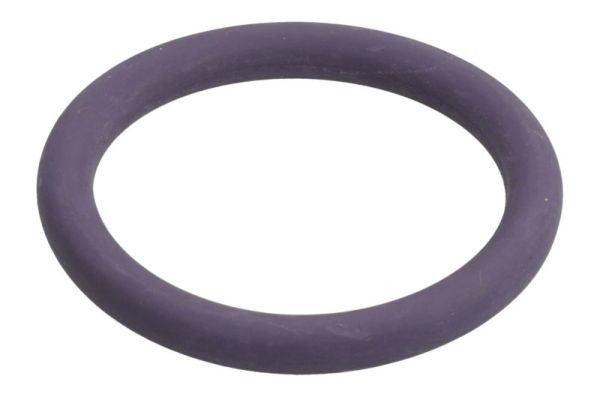 THERMOTEC Seal, coolant tube Article number: DCR277TT cheaply