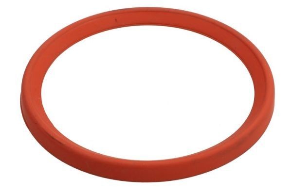 THERMOTEC Pakningsring, turboladerslange Varenummer: DCR281TT billige