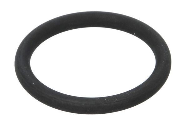 THERMOTEC Seal, turbo air hose Article number: DCR283TT cheaply
