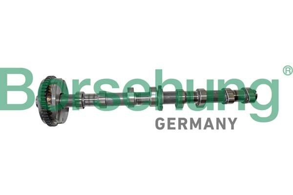 Borsehung Camshaft Article number: B12413 cheaply