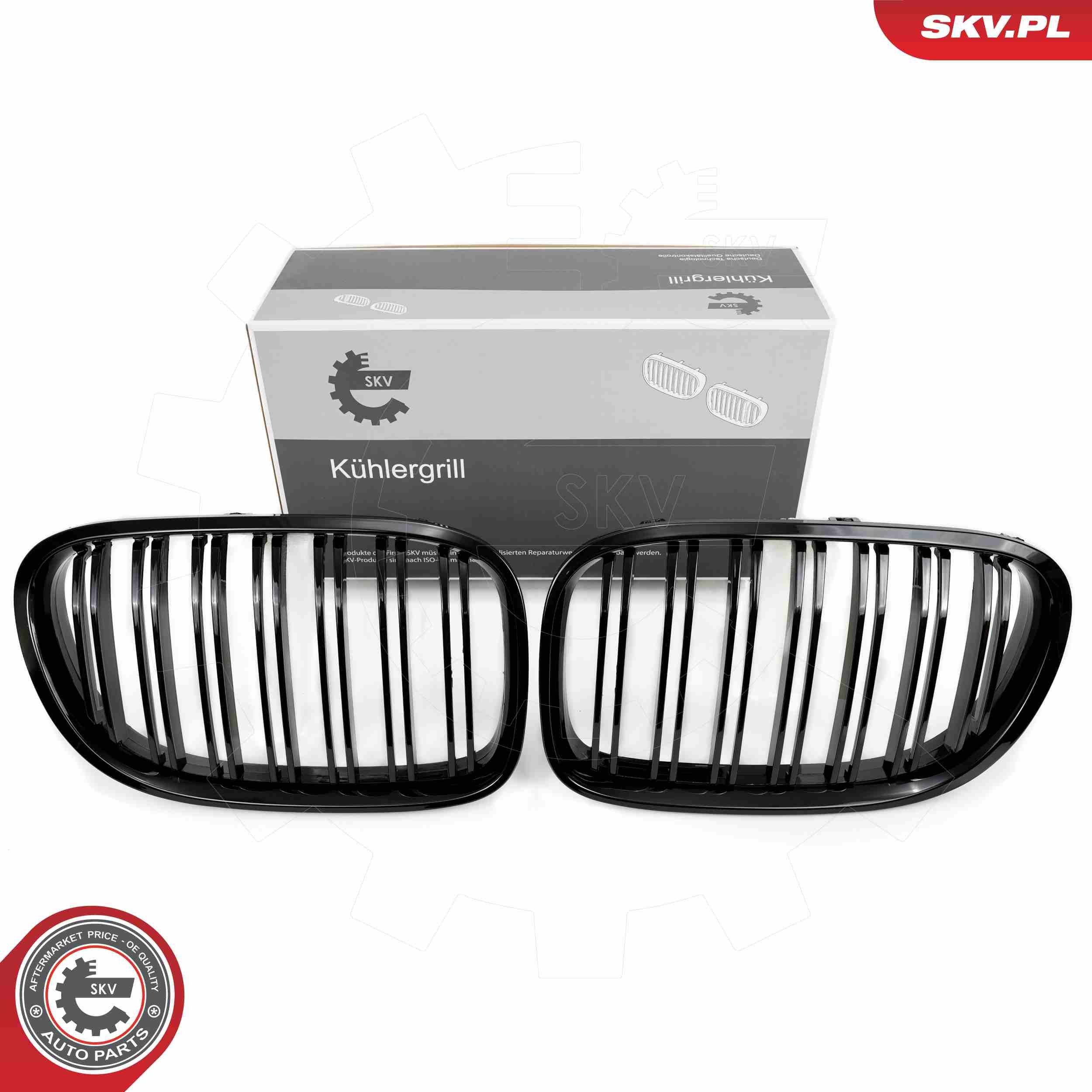 ESEN SKV Radiator Grille Article number: 66SKV219 cheaply