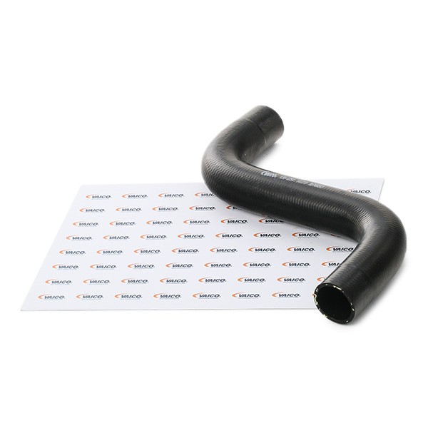VAICO Radiator hose Article number: V30-0254 cheaply