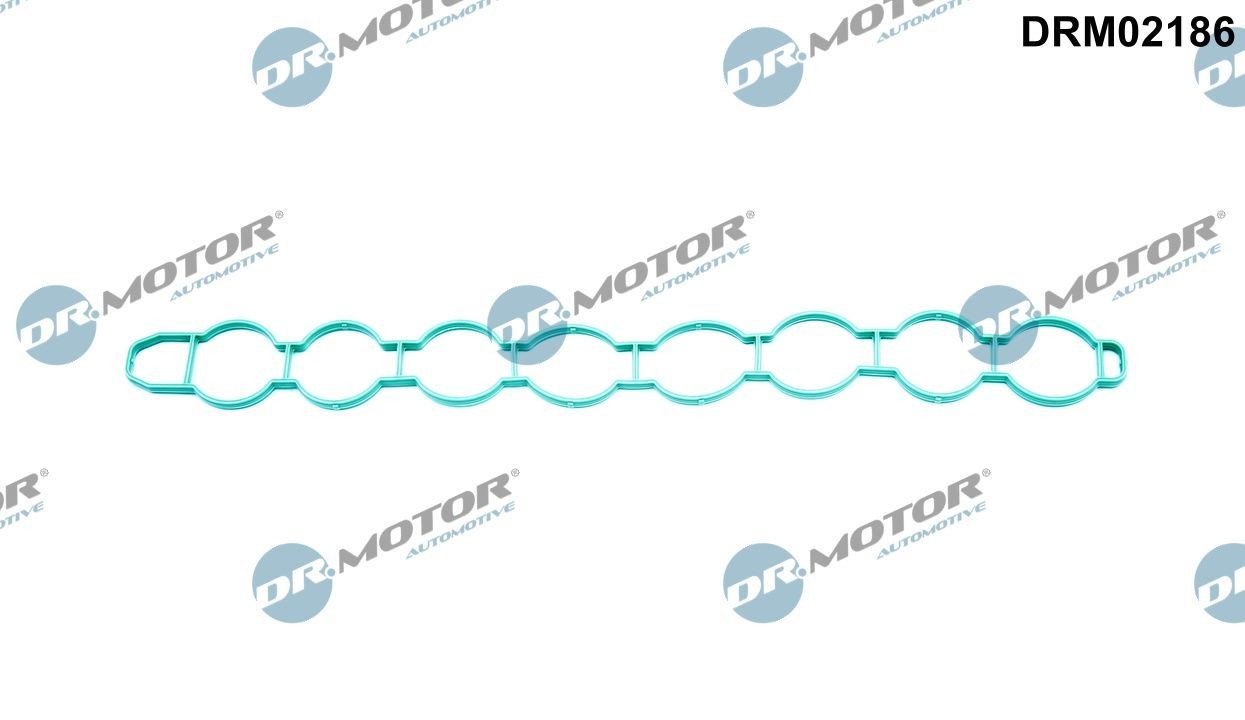 DR.MOTOR AUTOMOTIVE Inlet manifold gasket Article number: DRM02186 cheaply
