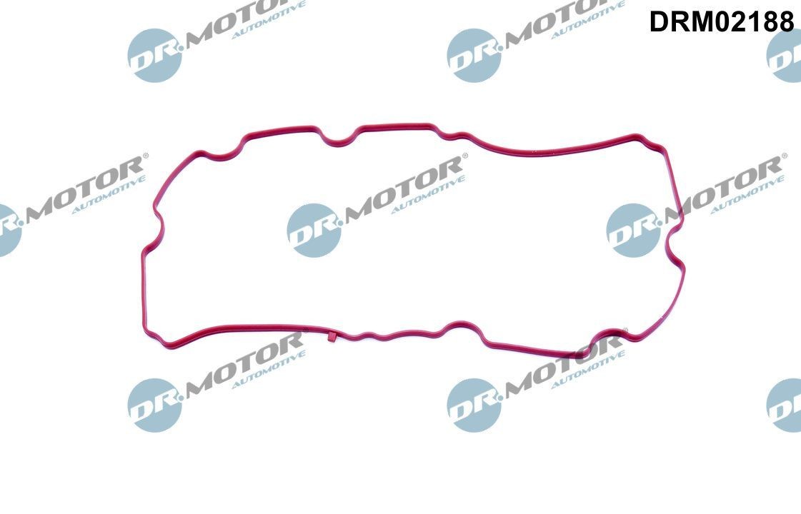 DR.MOTOR AUTOMOTIVE Inlet manifold gasket Article number: DRM02188 cheaply