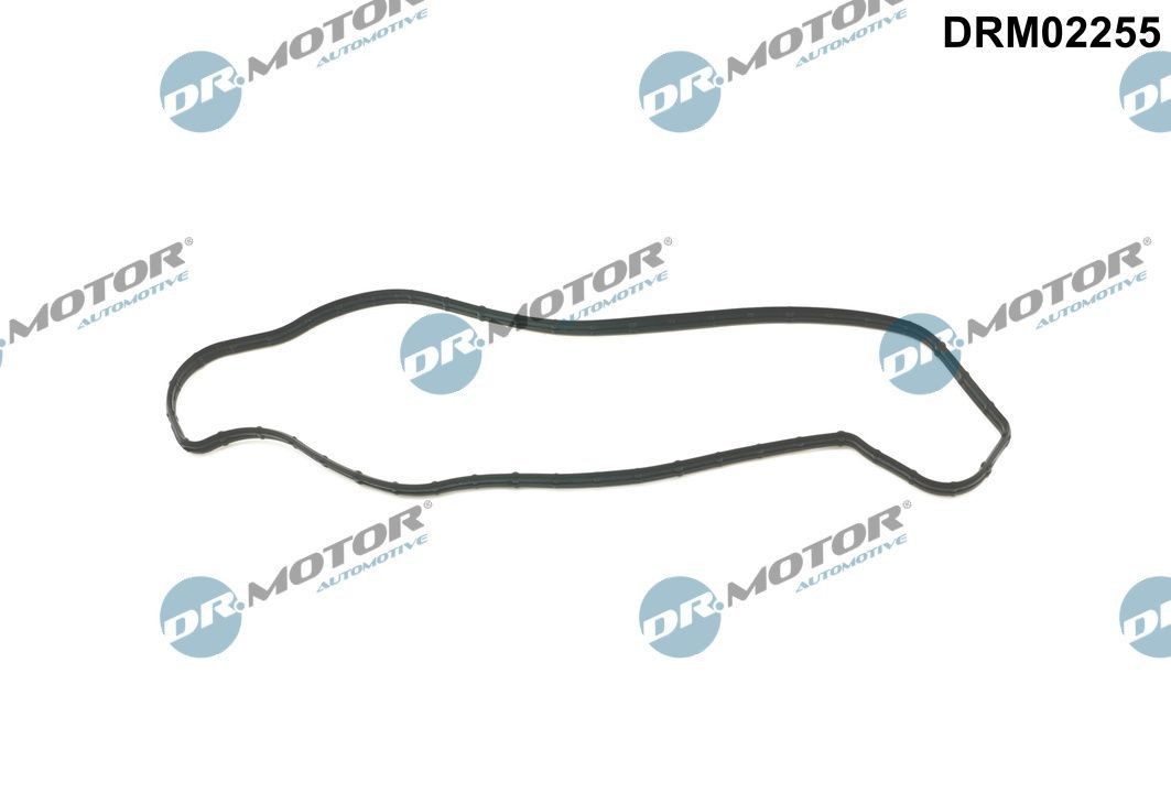 DR.MOTOR AUTOMOTIVE Gasket, coolant flange Article number: DRM02255 cheaply