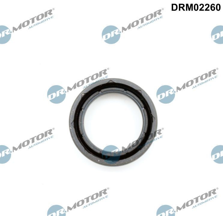 DR.MOTOR AUTOMOTIVE Sealing Ring, spark plug shaft Article number: DRM02260 cheaply