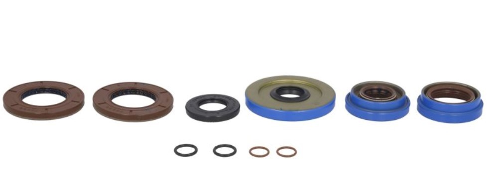 ALL BALLS RACING Kit riparazione, Differenziale Numero articolo: 25-2085-5 poco costoso